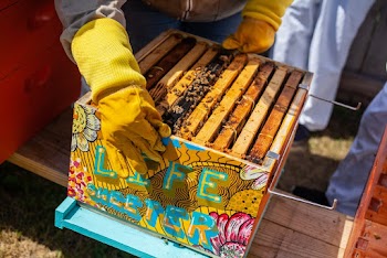 Brown Wooden Crate With Bees