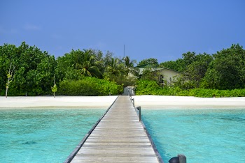Brown Wooden Dock