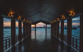 brown wooden dock