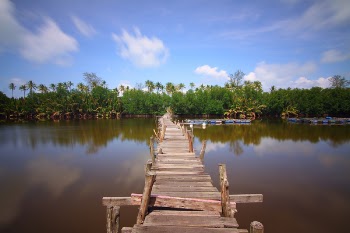 Brown Wooden Dock