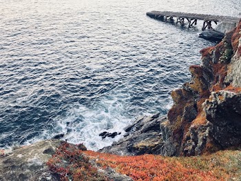 Brown Wooden Dock
