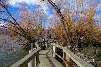 Brown Wooden Dock