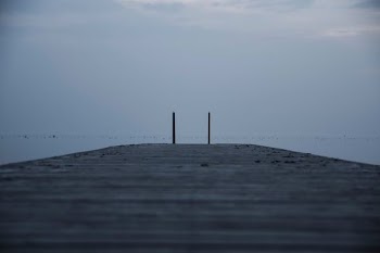 brown wooden dock