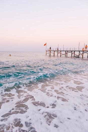 Brown Wooden Dock at the Ocean during Day