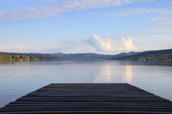 Brown Wooden Dock Bridge