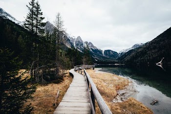 brown wooden dock by the river during daytime