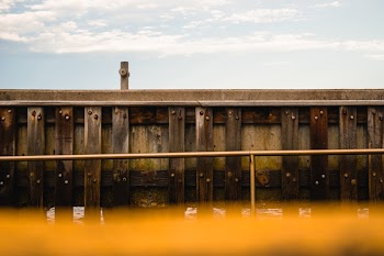 Brown Wooden Dock in Distance