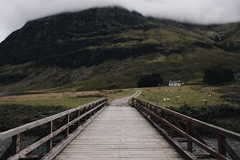 brown wooden dock leading to green grass field