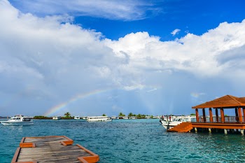 Brown Wooden Dock Near Body of Water