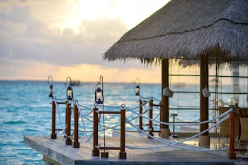 Brown Wooden Dock on Body of Water
