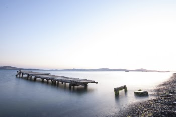 Brown Wooden Dock on Misty Body of Water