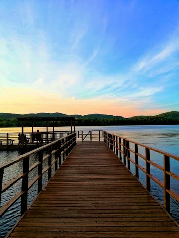 Brown Wooden Dock over Body of Water
