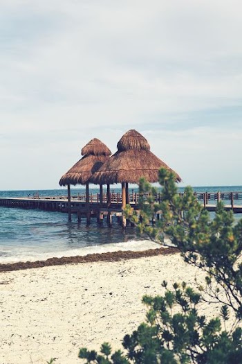 brown wooden dock under cloudy sky
