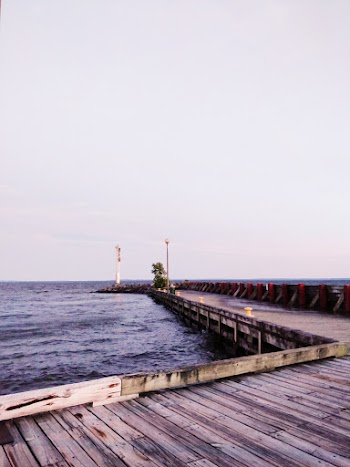 Brown Wooden Dock View