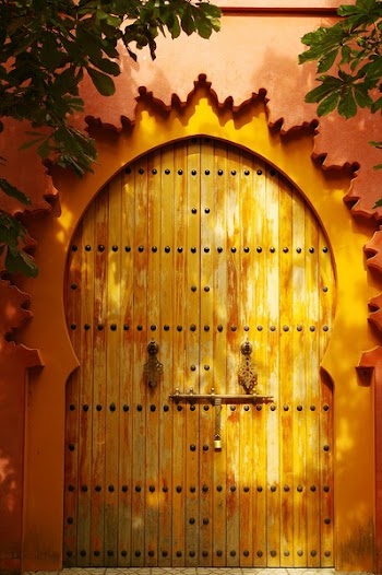 Brown Wooden Door Beside Green Leafed Plant