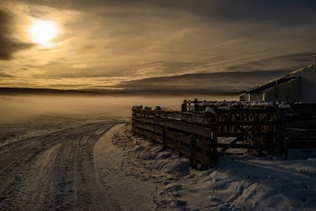 Brown Wooden Fence