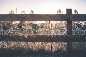 brown wooden fence