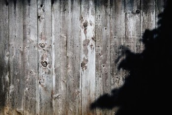 brown wooden fence