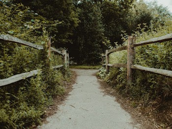 Brown Wooden Fence
