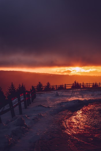 Brown Wooden Fence