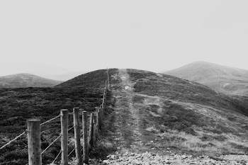 brown wooden fence on the mountain