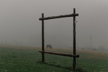 Brown Wooden Frame In The Field