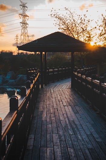 Brown Wooden Gazebo on Pathway
