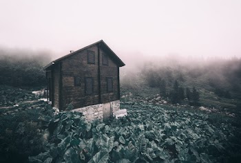 Brown Wooden House 