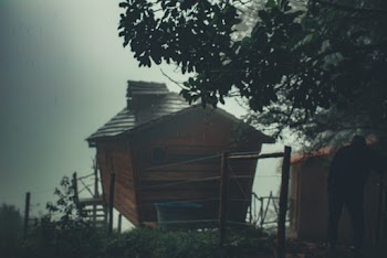Brown Wooden House