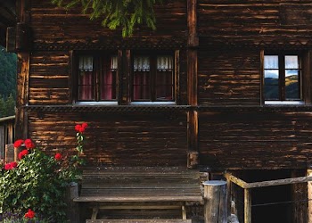 brown wooden house