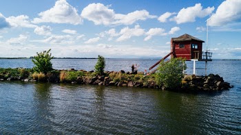 Brown Wooden House Near Body of Water