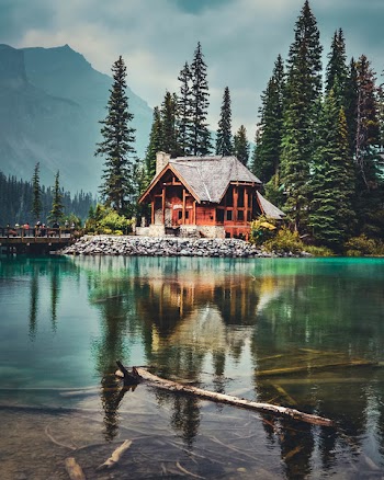 Brown Wooden House Near Pine Trees And Body Of Water 