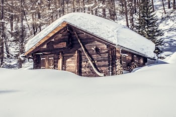 Brown Wooden House Near Tree