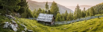 Brown Wooden House Near Tree