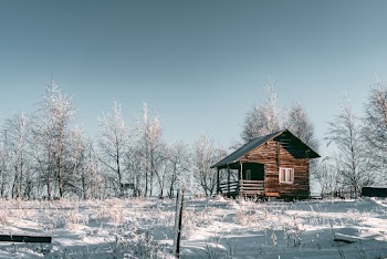 Brown Wooden House Near Trees