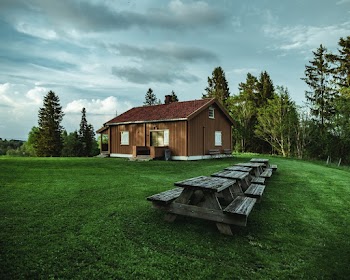 Brown Wooden House Near Trees