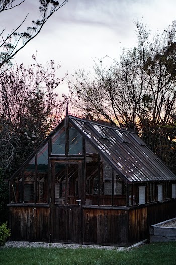 Brown Wooden House Near Trees