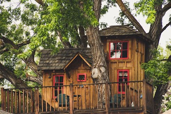Brown Wooden House Near Trees