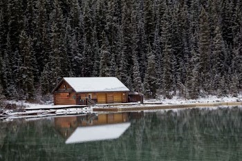brown wooden house near trees and body of water