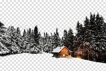 Brown wooden house near woods, Log cabin Winter Chalet Cottage , Forest Chalet transparent background PNG clipart