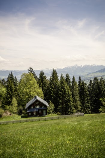 Brown Wooden House Neat Trees on Mountain Under Grey Clouds during Daytime