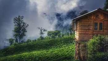 Brown Wooden House On Green Grass Field