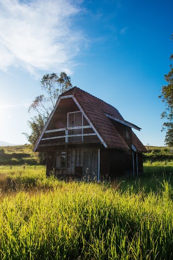 Brown Wooden House Surrounded By Grass