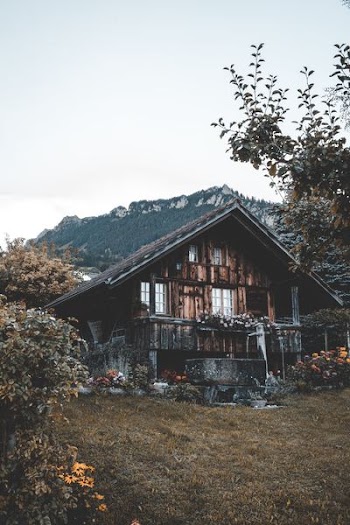 brown wooden house surrounded with green plants and trees