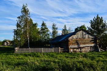 Brown Wooden House Surrounded With Trees