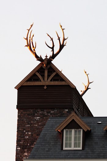 Brown Wooden House With Antlers On Roof
