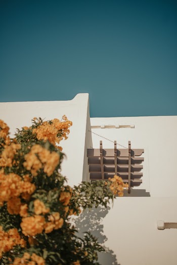 Brown Wooden House With Flowers