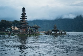 Brown Wooden Houses Near Body of Water
