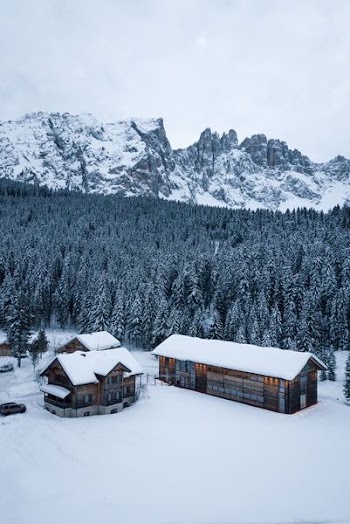 brown wooden houses on snow