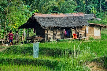 Brown Wooden Hut